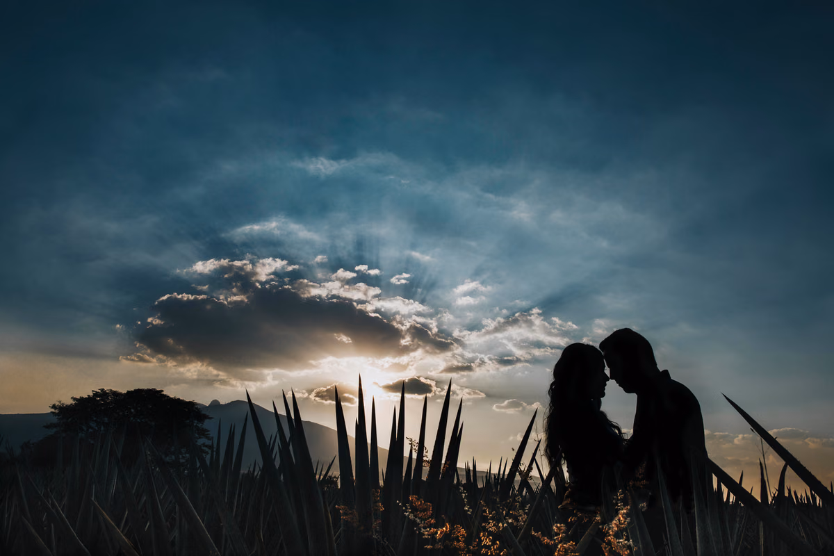 Fotografo de Bodas
