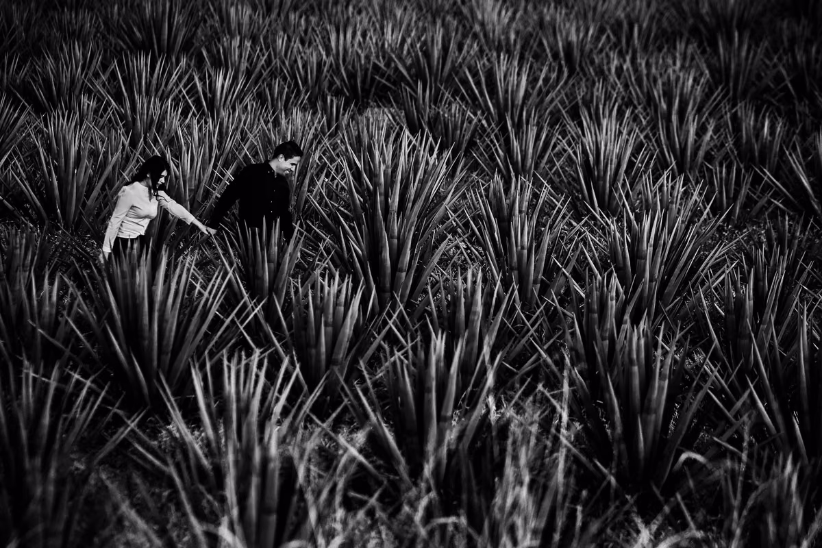 Fotografo en Guadalajara