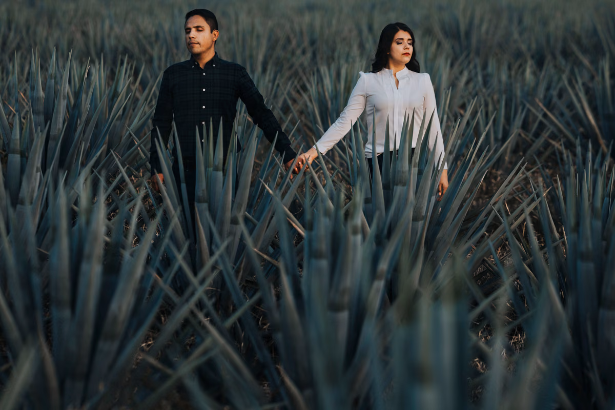 Sesión preboda de Viry & Jose Luis en Tequila, Jalisco