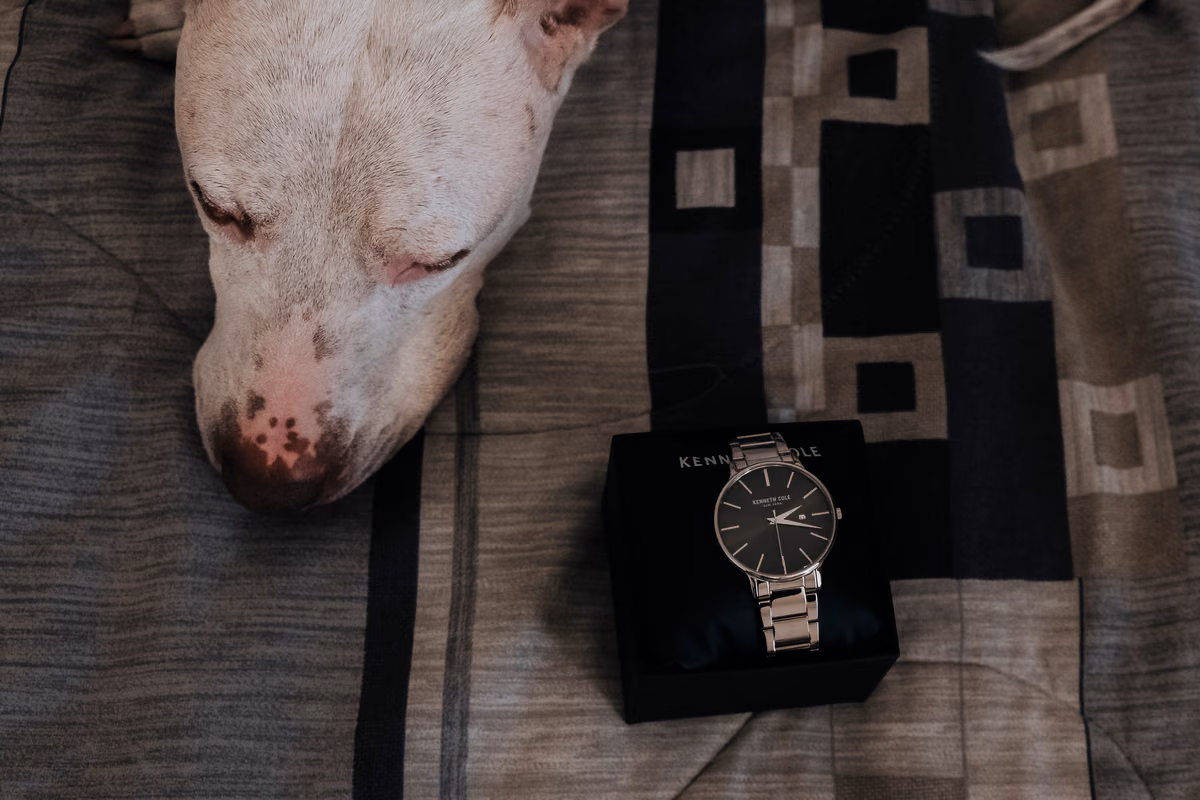 reloj