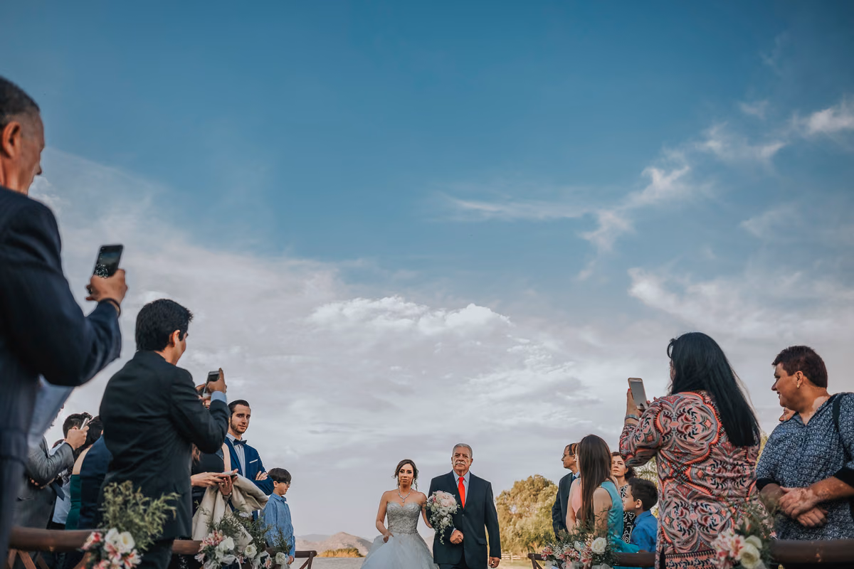 Bodas