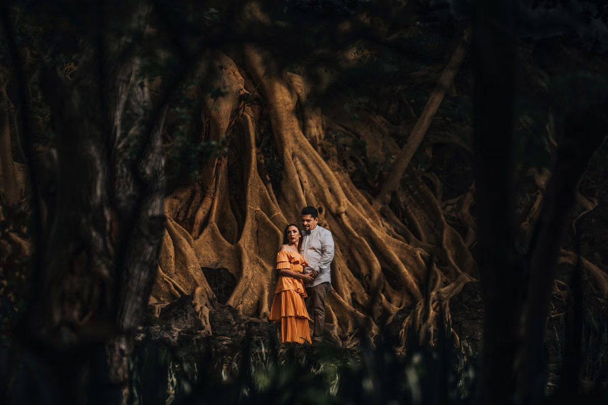 Novios