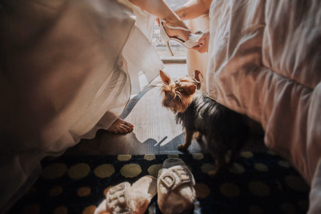 Boda de Christian & Marlene en Bosque By Alofa, Tlajomulco, Jalisco