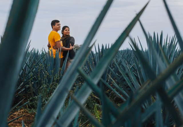 Sesión casual de Centro de Guadalajara & Tequila Jalisco en Dhana & Maha, Jalisco, Mexico