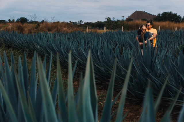 Sesión casual de Centro de Guadalajara & Tequila Jalisco en Dhana & Maha, Jalisco, Mexico