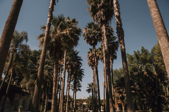 Boda de Ale & Aurelio en Finca San Javier, Huaxtla, Jal