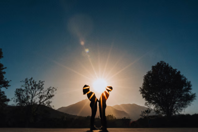Ale & Carlos — Hacienda del Carmen, Jalisco, Mexico