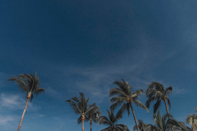 Karla & Angel — Hotel Occidental, Nuevo Vallarta, Nayarit