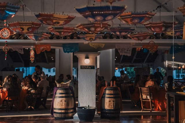 Boda de Alexis & Nitesh en Indian, Pto. Vallarta, Jalisco Mx