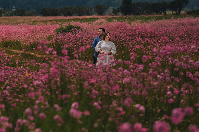 Alejandra & Aurelio — Tapalpa, Jalisco, Mexico