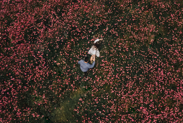 Alejandra & Aurelio — Tapalpa, Jalisco, Mexico