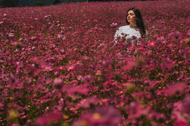 Alejandra & Aurelio — Tapalpa, Jalisco, Mexico