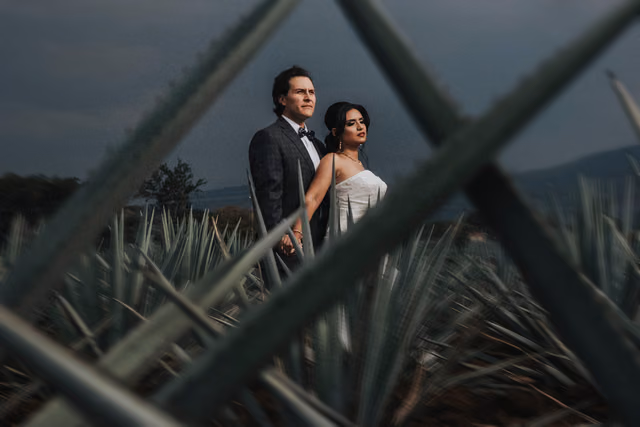 Sesión de trash the dress de Orlanda & Michael en Tequila, Jalisco
