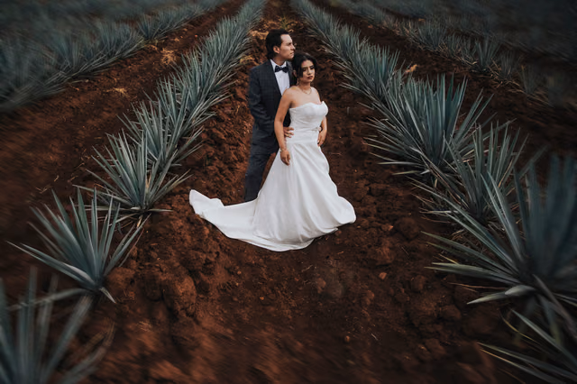 Sesión de trash the dress de Orlanda & Michael en Tequila, Jalisco