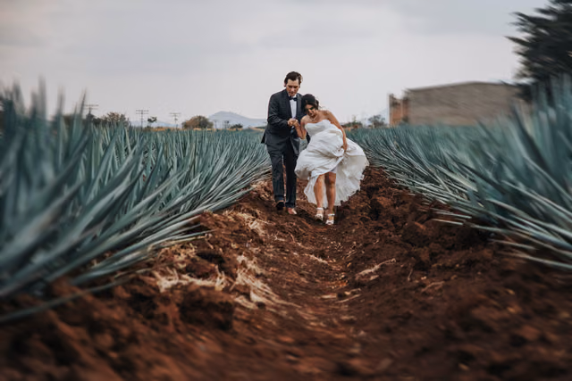 Sesión de trash the dress de Orlanda & Michael en Tequila, Jalisco