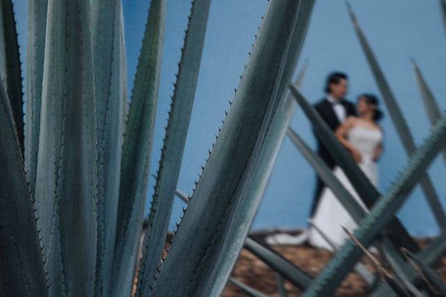 Sesión de trash the dress de Orlanda & Michael en Tequila, Jalisco