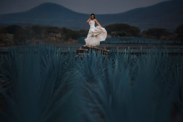 Sesión de trash the dress de Orlanda & Michael en Tequila, Jalisco