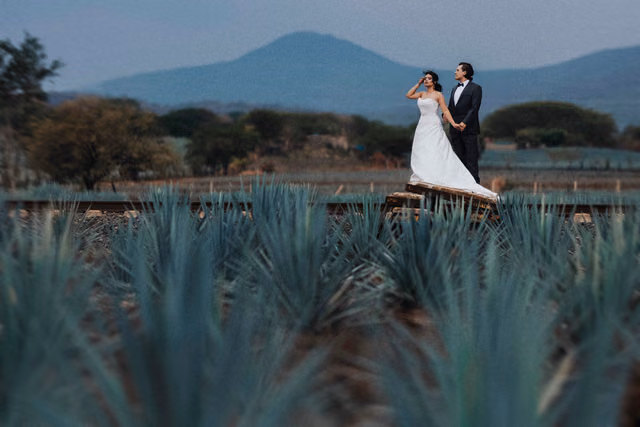 Sesión de trash the dress de Orlanda & Michael en Tequila, Jalisco