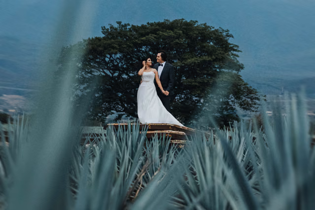 Sesión de trash the dress de Orlanda & Michael en Tequila, Jalisco