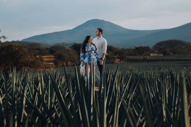 Sesión preboda de Ruby & Jorge en Tequila, Jalisco, Mexico