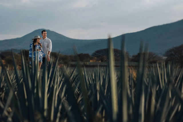 Sesión preboda de Ruby & Jorge en Tequila, Jalisco, Mexico